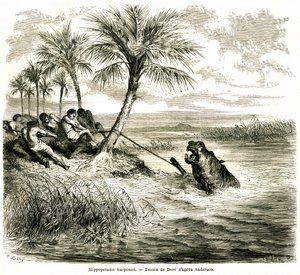 Jagt på Teoghe-floden, en biflod til Ngami. Flodhesteharpun. Kobberstik af Gustave Dore, der illustrerer "les aventures et chasse du voyageur Charles-Jean Anderson dans l