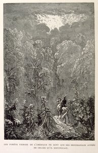 Illustration af amerikansk skov. fra La legende de Croque-Mitaine. af Gustave Dore