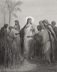 Jesus og hans disciple i kornmarken, illustration fra Dores 