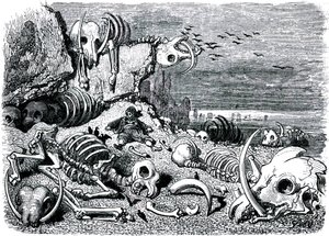 Sømanden Sindbad (Sinbad) - fortællingen om de tusind og en (1001) nat - illustration af Gustave Dore - udgave Maxwell 1865 - Syvende og sidste rejse: elefanternes kirkegård, hvor Sindbad vil genfinde elfenbensdepoterne af Gustave Dore