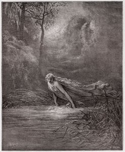 Den guddommelige komedie (La Divina Commedia, La Divine Comedie), Purgatorio, Canto 31: Dante nedsænket i floden Lethe - af Dante Alighieri (1265-1321) - Illustration af Gustave Dore (1832-1883) af Gustave Dore