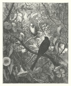 La Fontaines fabler: Philomel og Progne (kobberstik) af Gustave Dore