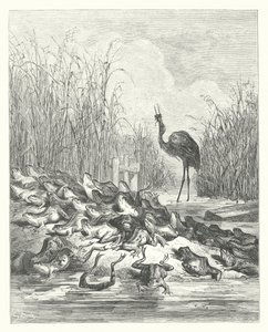 La Fontaines fabler: Frøerne, der bad om en konge (kobberstik) af Gustave Dore