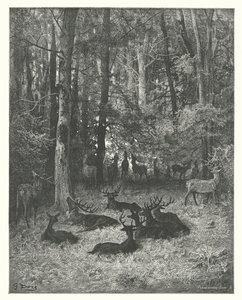 La Fontaines fabler: Den syge hjort (kobberstik) af Gustave Dore