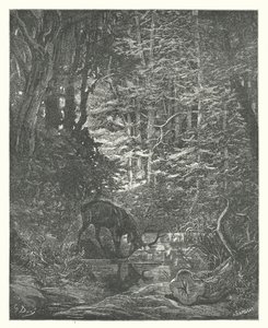 La Fontaines fabler: Hjorten, der ser sig selv i strømmen (stik) af Gustave Dore