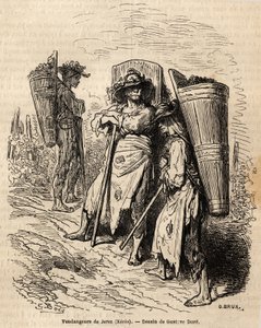 Plukkerne af Xeres. Tegning af Gustave Dore (1832-1883), til illustration af hans rejse til Spanien i 1862, med Ch. Davillier. Indgravering i "" Le tour du monde"", redigeret af Edouard Charton af Gustave Dore