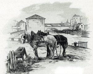 Horses de haulage, quai de la Gironde, Villette (heste brugt til at trække bådene på kanalen saint-denis, quai de la gironde, Villette Paris) Tegning af Gustave Fraipont (1849-1923) fra Saint-Juirs af Gustave Fraipont