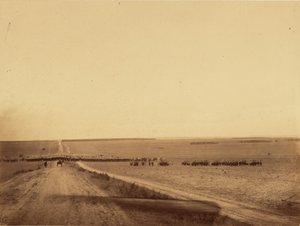 [Kavalerimanøvrer, Camp de Chalons] af Gustave Le Gray