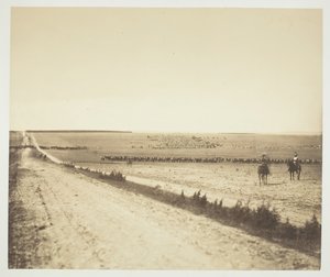 Manøvrer, Camp de Châlons, 1857. af Gustave Le Gray