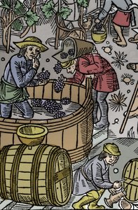 Høst - druehøst - Hyrdekalender - Månedens arbejde - Oktober - Træsnit fra bogen fra 1496 trykt af Guy Marchant (Guido Mercator) i Troyes - Træstik i "" Le grand Calendrier et compost des shepherds"" - Høsten - og th af Guy Marchant