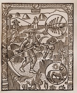 Hyrdekalender - Månedernes arbejde - Juli - Træsnit fra bogen fra 1496 trykt af Guy Marchant (Guido Mercator) i Troyes - Hay, la coupe des hay - Gravering sur bois i "" Le grand Calendrier et compost des shepherds"" - af Guy Marchant