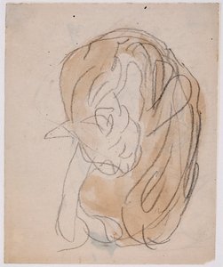 Studier af katte (akvarel med blyant på papir) af Gwen John