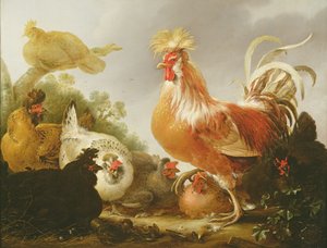Hane og høns i et landskab, 1649 af Gysbert Hondecoeter