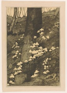 Svampe i en skov Efterår (original titel) af H.C. Spruit (signed by artist)
