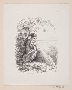 Illustration til "De vilde Svaner" i H.C. Andersen, "Eventyr og Historier", Bind 1 af H.P. Hansen