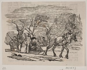 Slædekørsel med rensdyr af H. C. Henneberg