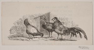 Tre høns af H. C. Henneberg