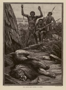 Løvejagt i Afrika (kobberstik) af H. Dixon