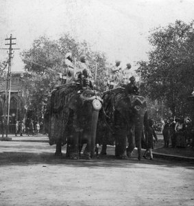 En Punjabi-prinsesse, der rider på en elefant i en procession, Delhi, Indien, 1900-tallet.