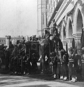 Vicekonge-elefanten, Delhi, Indien, 1900-tallet.