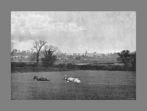 Southwell, c1900 af H. J. Bliss