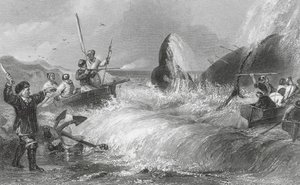 Hvalen på land (kobberstik) af H. Melville
