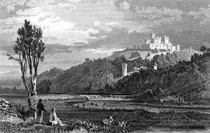 Coltsmans Castle, County Cork, c1800-1850. af H. Winkles