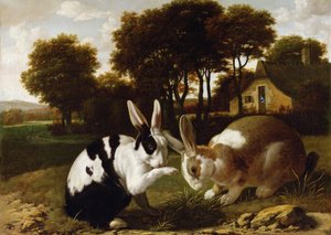 To kaniner i et landskab, ca. 1650 af Haarlem School