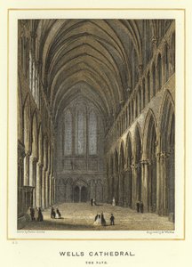 Wells Cathedral, kirkeskibet af Hablot Knight Browne