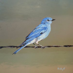 Chipper, ca. 2025 (olie på masonit) af Hadley Rampton