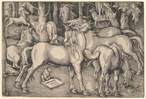Gruppe af syv heste, 1534. af Hans Baldung