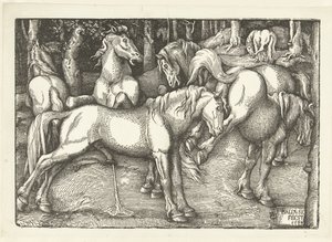 Gruppe på seks kampheste af Hans Baldung Grien