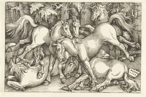 Gruppe på syv kampheste af Hans Baldung Grien