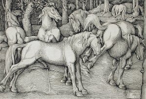  af Hans Baldung Grien