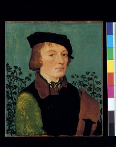 Portræt af en mand foran en rosenhæk (olie på træ) af Hans Baldung Grien