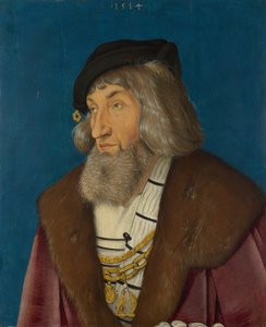 Portræt af en mand af Hans Baldung Grien