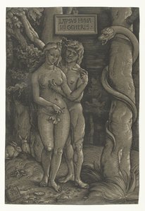 Adam og Evas fristelse i paradis Menneskets Fald Lapsvs Hvmani Generis (titel på objekt) af Hans Baldung Grien