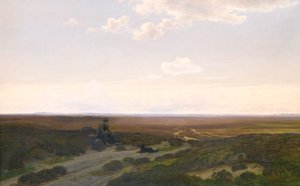 View of Pårup Moors near Silkeborg, Jutland af Hans Friis