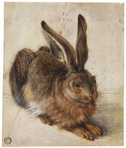 En hare af Hans Hoffmann