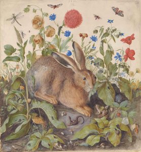 En hare blandt planter af Hans Hoffmann