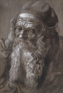 En gammel mand på 93: St Jerome (pensel og blæk)