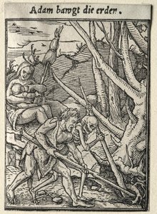 Dødedansen: Adam Tilling the Ground af Hans Holbein