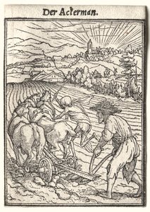 Dødedansen: Plovmanden af Hans Holbein