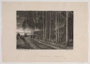 Regnvejrsdag i granskoven af Hans Julius Fæster