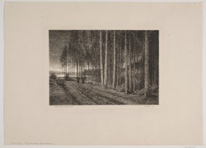 Regnvejrsdag i granskoven af Hans Julius Fæster