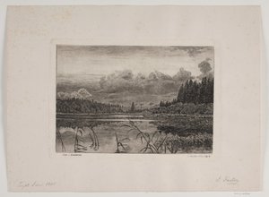 Søen i granskoven af Hans Julius Fæster