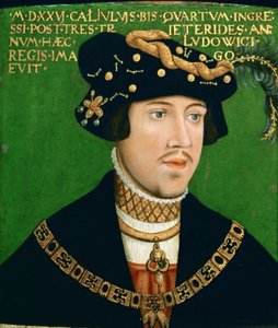 Portræt af Ludvig II, konge af Ungarn (1506-1526)