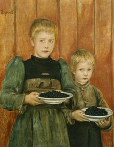 Blåbær 1899-1900