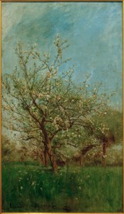 Blomstrende træer Uerdenbach