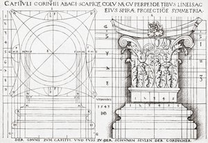 Tværsnit af korinthisk kapital og proportional tegning af Hans Sebald Beham